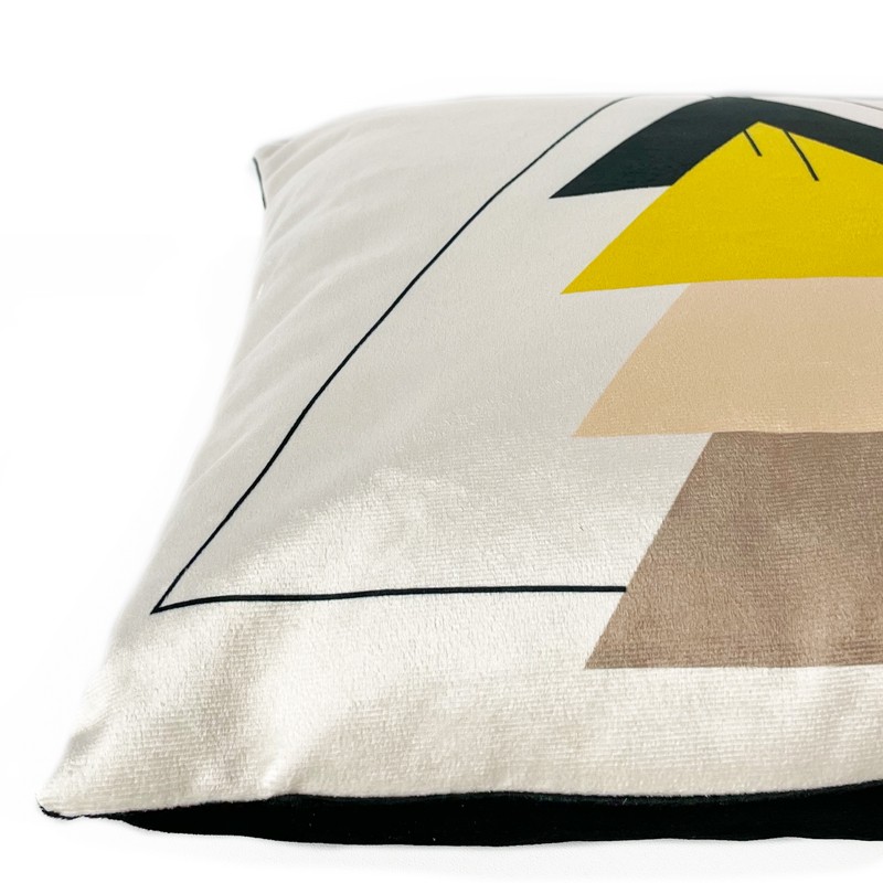 coussin velours coussin velours