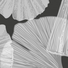 Gingko Anthracite PROMO