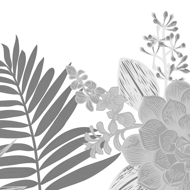 papier peint panoramique jungle tendance papier peint panoramique jungle tendance