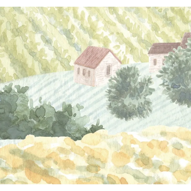 Campagne