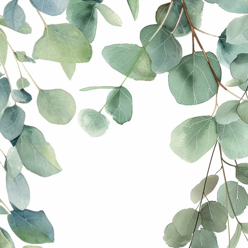Pack 2 panneaux muraux Eucalyptus in Rain + 3 profilés Blancs