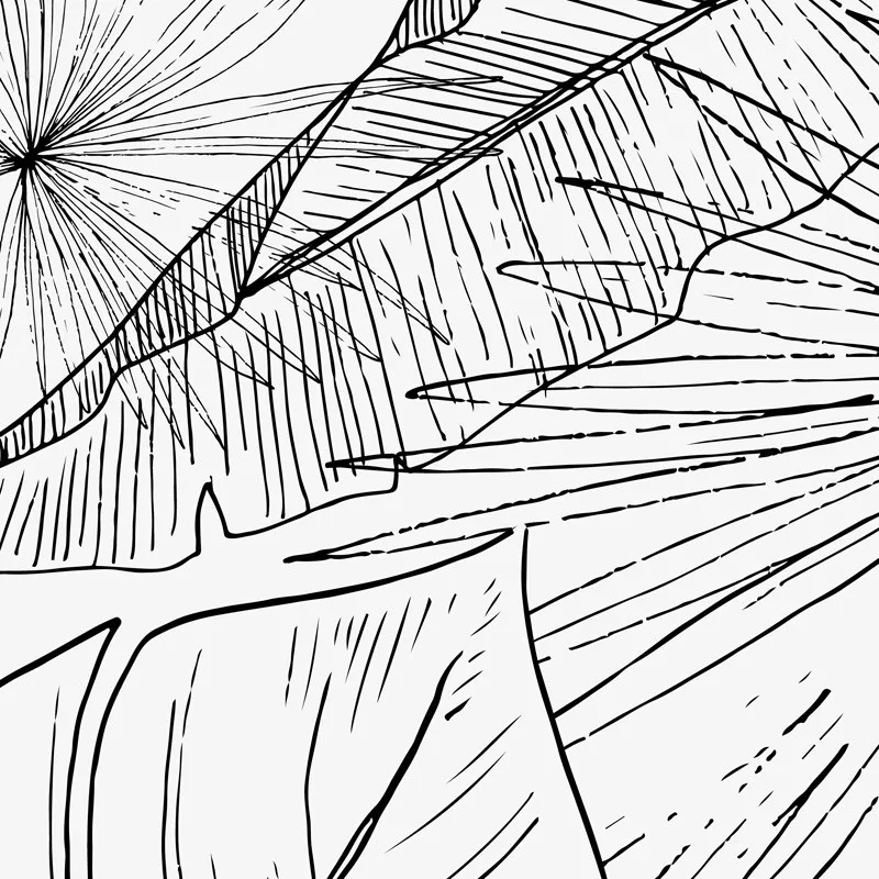 Crédence cuisine Lamnar feuilles graphiques - 5 teintes - 99Déco