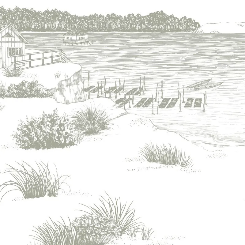 Cap Ferret