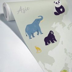 World Map