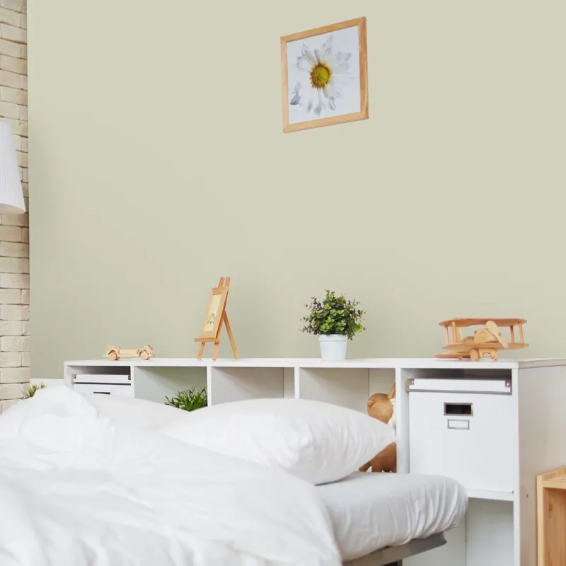 Peinture velours Vert Pastel | Murs plafonds menuiseries | 99déco