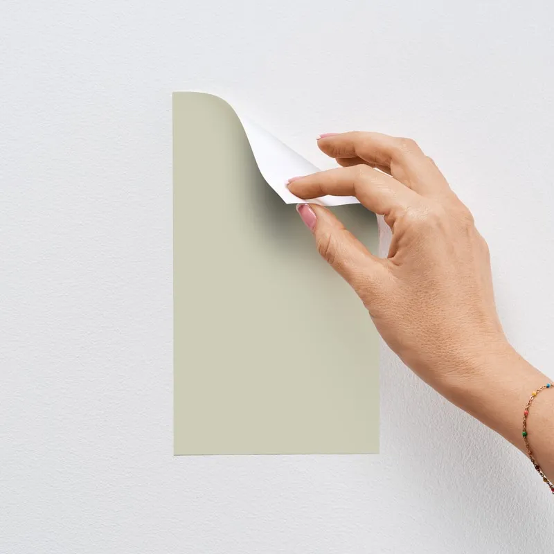 Peinture velours Vert Pastel | Murs plafonds menuiseries | 99déco