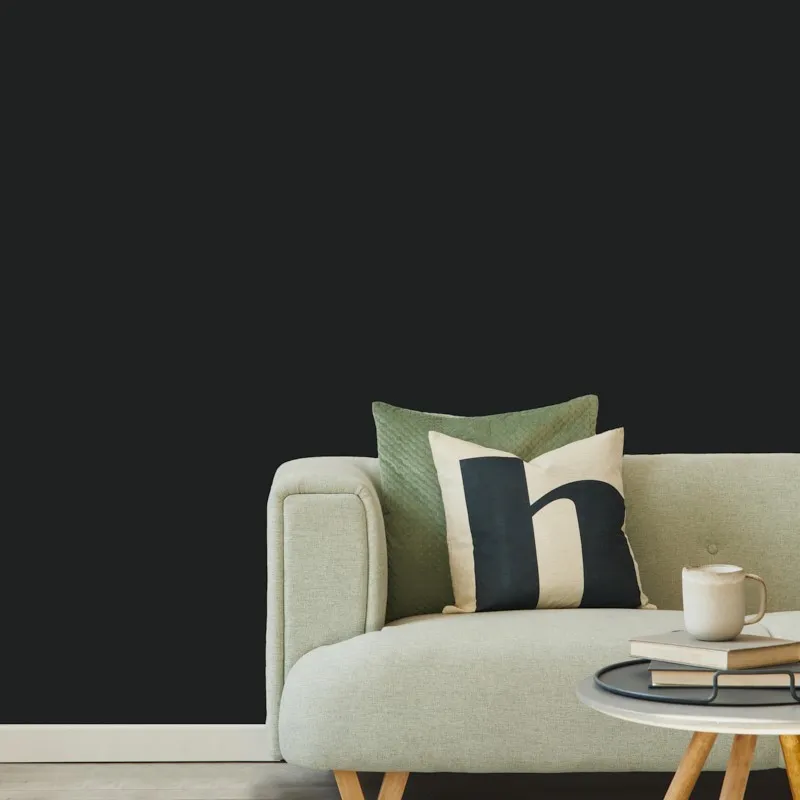 Peinture murale velours Gris Foncé – Élégance intense | 99déco