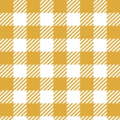 Carreaux Vichy XL