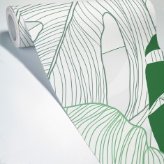 Bornéo Vert