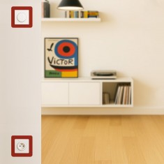Focus - Rouge