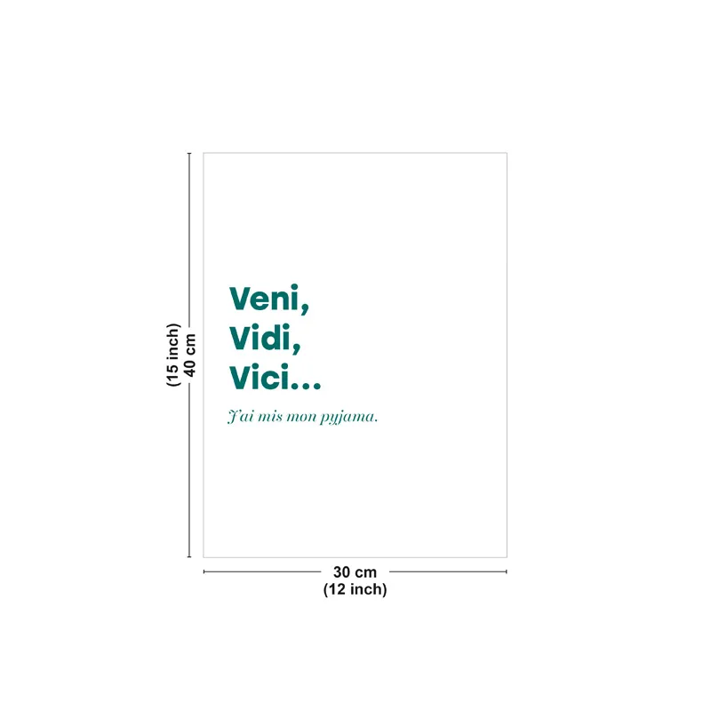 Affiche décorative murale "Veni Vidi Vici" - Collection : Humour  99DECO