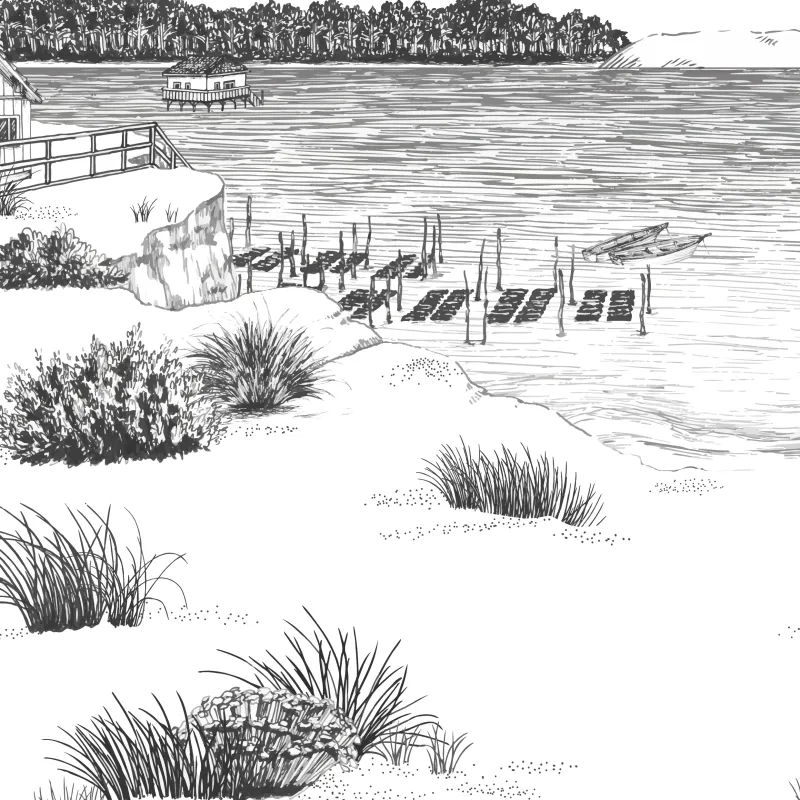 Papier peint panoramique Cap Ferret – 99DECO