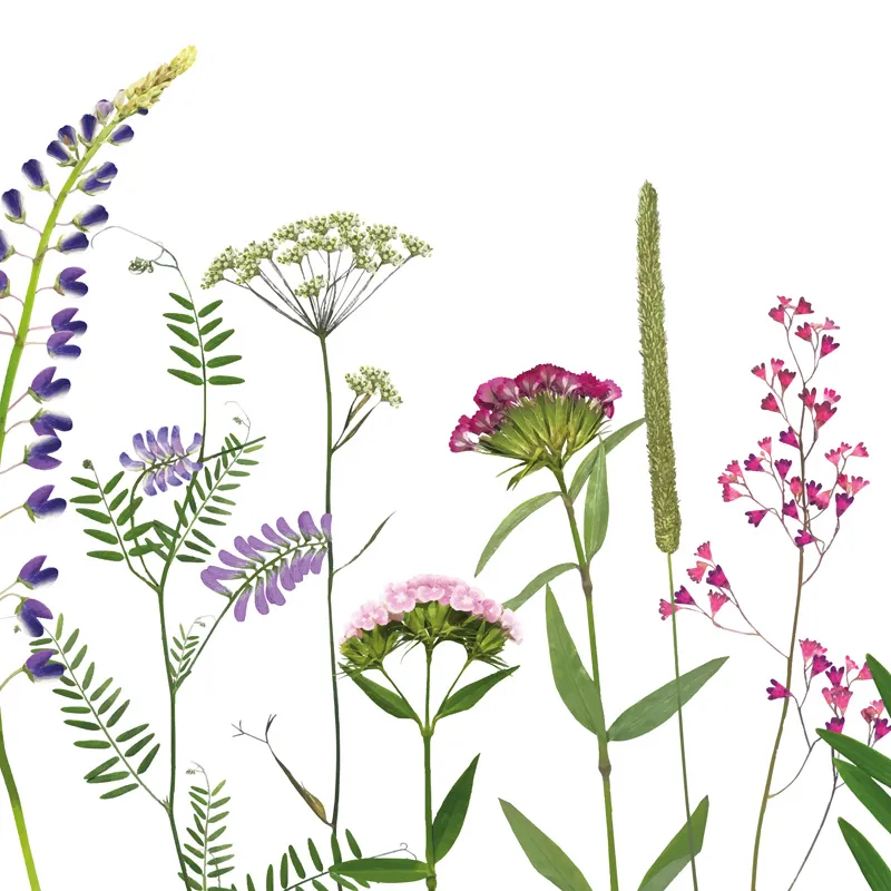 Crédence fleurs de Prairie en aluminium composite - 99Déco