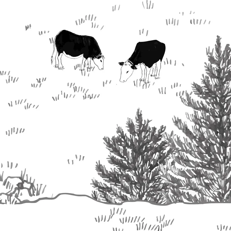 Papier peint panoramique Les Alpes - Paysage montagne - 99 Déco