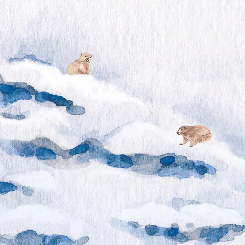 Papier peint panoramique Les Alpes - Paysage montagne - 99 Déco