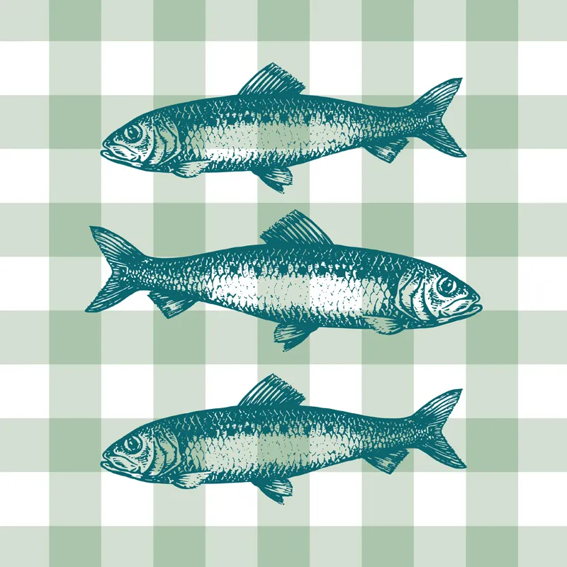 Set de table Vichy Sardines - Motif vichy vert - 99 Déco