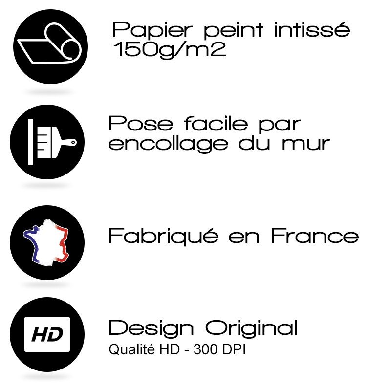 Papier peint panoramique intissé 150g fabriqué en France